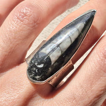 Load image into Gallery viewer, Orthoceras Fossil 925 Silver Ring