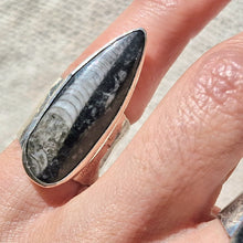 Load image into Gallery viewer, Orthoceras Fossil 925 Silver Ring