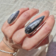Load image into Gallery viewer, Orthoceras Fossil 925 Silver Ring